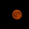 orangemoon